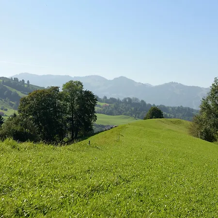 Gams Bad Hindelang