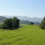 Gams Restaurant Bad Hindelang